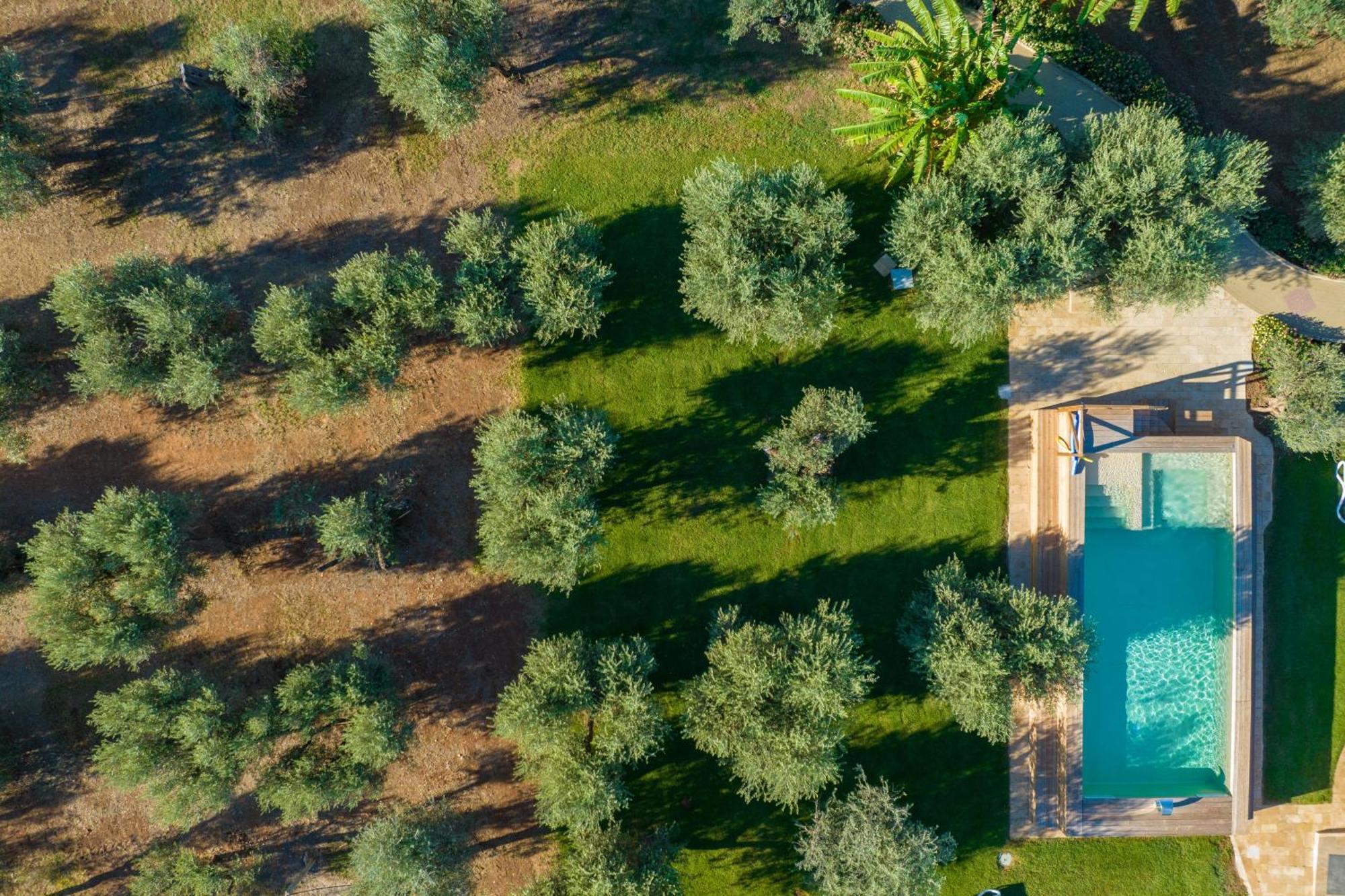 Dimora Tenuta Solentino Torre San Giovanni Ugento Ngoại thất bức ảnh