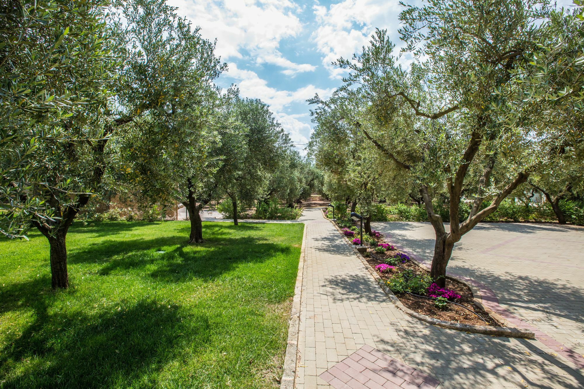 Dimora Tenuta Solentino Torre San Giovanni Ugento Ngoại thất bức ảnh